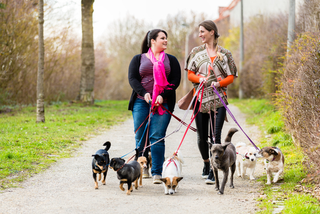 Illustration for article titled Choosing Between Pet Sitting and Boarding